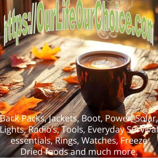 OurLifeOurChoice Logo